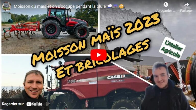 Moisson Du Ma S Et Bricolage La Ferme Wikiagri Actualit Agricole