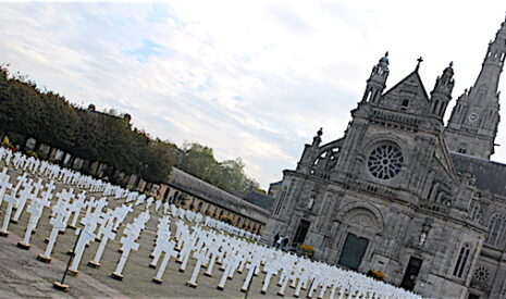 Un an après les croix blanches…