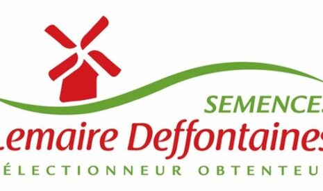 Enjeux de la sélection des pois protéagineux