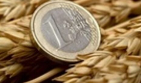 Les matières premières sur le fil