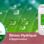 AGRONUTRITION : nouvelle homologation Biostimulant ESTIVE