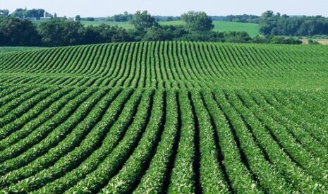 John Deere et BASF s’associent pour améliorer les rendements