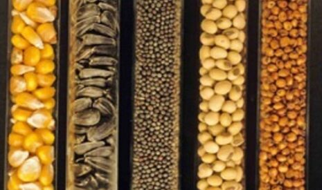 Le Gnis au Salon de l’agriculture 2014