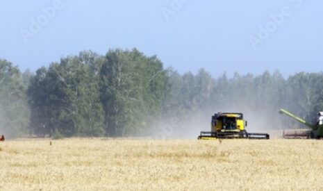 D’ici 2030, la production mondiale de blé devra augmenter de  80 Mt , qui les produira?