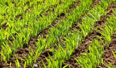 Intégrer le vivant dans la fertilisation avec Axxes™