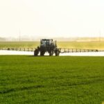 La solution polyvalente de la fertilisation phosphatée