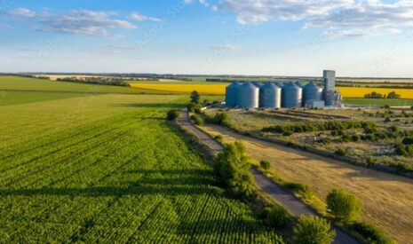 Le Crédit Agricole lance un nouveau fonds pour soutenir le renouvellement des générations agricoles