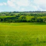 Les agriculteurs évincés du marché foncier ?