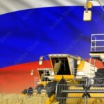 En Russie, les agriculteurs désespérés face à l’absence de débouchés