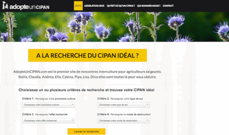 adopteuncipan.com, l’interface de l’interculture