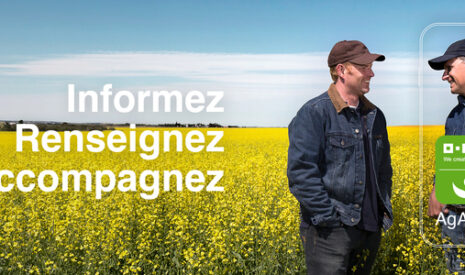 BASF Agro lance l&rsquo;application « AgAssist » : un assistant pour la protection des cultures