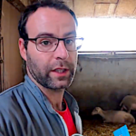 Agnelages, une attention et un travail sans relâche !