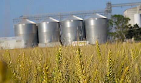 Il y a 50 ans aujourd’hui, Sicco Mansholt voulait agrandir les petites exploitations agricoles en Europe