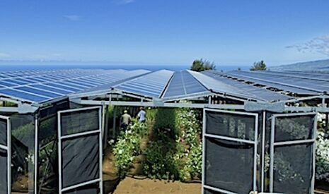Un rayon de soleil pour des filières agricoles en difficulté