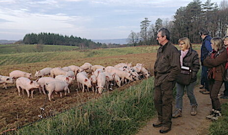 Les « agri-rando » font mieux comprendre l’agriculture