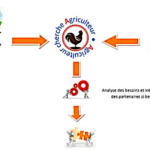 Transmission des exploitations agricoles, une plateforme internet pour mettre en relation cédants et repreneurs en Occitanie