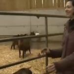 Les femmes dans l’agriculture
