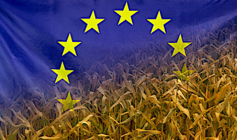 Plus écologique, l’Union européenne veut conserver le statut de grande puissance agricole à l’horizon 2030