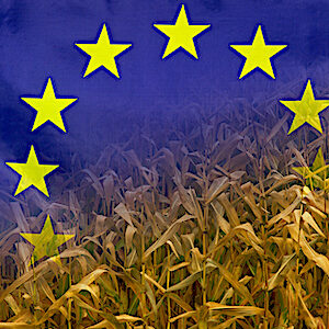 agriculture europ enne propspective