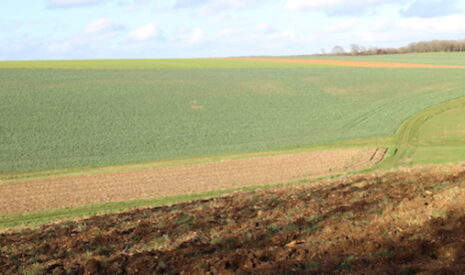 En 2025, des « agricultures contractualisées » ou « des fermes firmes » ?