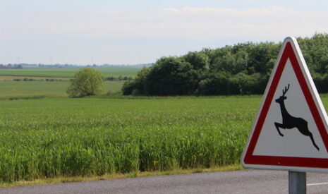 AgriFaune, l’alliance agriculture et chasse au service de la biodiversité