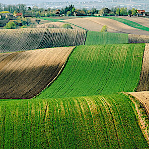 agriculture pologne