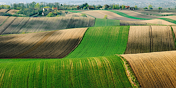 agriculture pologne