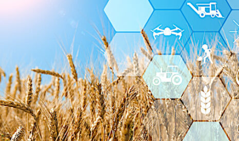 La technologie de précision affine la fertilisation azotée du blé