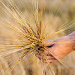 Plus de 10 000 producteurs se regroupent pour partager leur vision d’une agriculture responsable