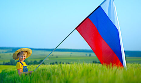 Pourquoi le blé russe est moins compétitif depuis l’été dernier