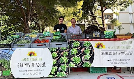Quand l’agriculture urbaine devient un levier pour l’insertion