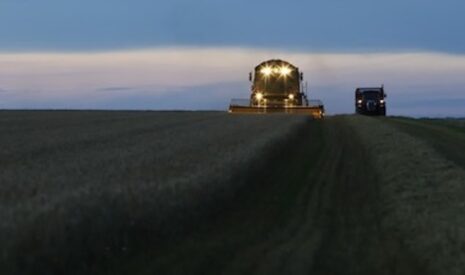 Les abeilles vivent le jour, donc les agriculteurs doivent bosser la nuit