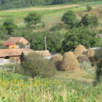 Les dix autres choses à savoir sur l’Europe et l’agriculture