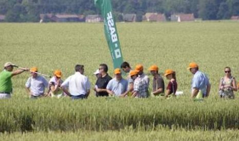 Fongicides céréales, les innovations de BASF bénéficient aux céréaliers