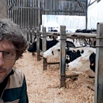 Comment je travaille au quotidien pour que mes vaches se sentent bien