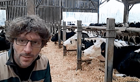 Comment je travaille au quotidien pour que mes vaches se sentent bien