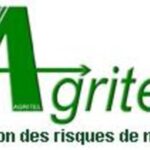 Forte baisse des cours du maïs sur le rapproché