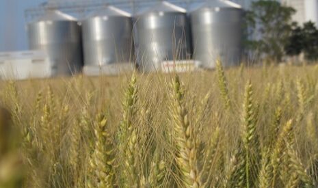 Agroalimentaire, comment restaurer la compétitivité