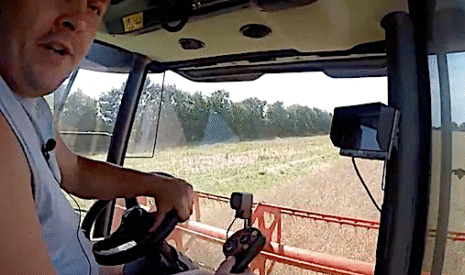 Moisson de colza dans la Vienne