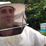 Apiculture, comment diviser une ruche pour obtenir une nouvelle colonie d’abeilles