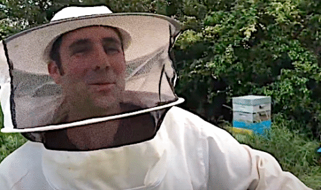Apiculture, comment diviser une ruche pour obtenir une nouvelle colonie d’abeilles