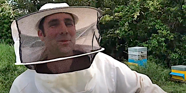 alexis apiculteur vend e