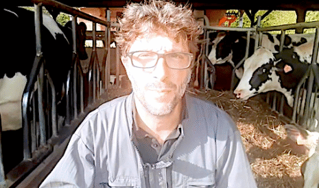 Herbe vs granulés, quel est le meilleur aliment pour les vaches laitières ?