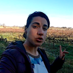 Analyse des sarments de vigne pour mieux prévoir les (justes) interventions