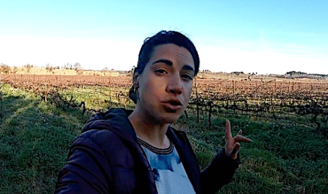 Analyse des sarments de vigne pour mieux prévoir les (justes) interventions