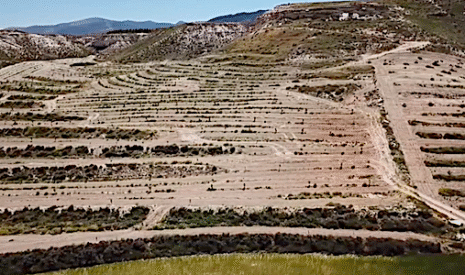 En Andalousie, ils arrêtent le désert avec l’agriculture régénérative