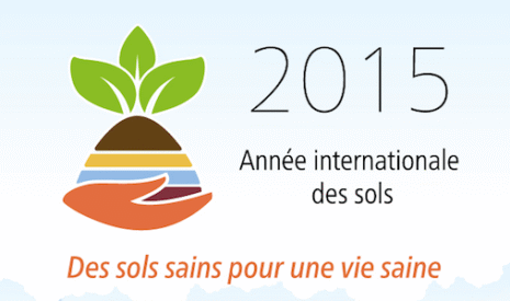 2015, année internationale des sols… et de quoi d’autre ?