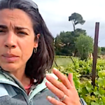 Comment les vignes repartent après le gel du 8 avril 2021