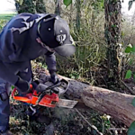 Un arbre mort sur la parcelle agricole