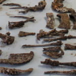 200 outils agricoles antiques retrouvés intacts 1800 ans plus tard